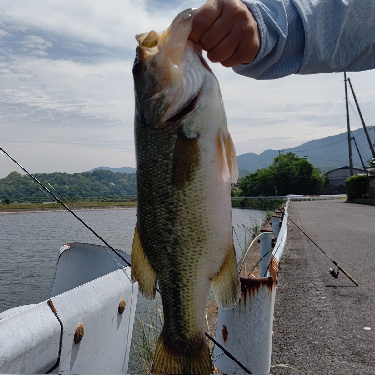 mi19852005's tweet photo. 香川2日目
やっと40up釣れた✨😍 https://t.co/GBFz8DfyC6