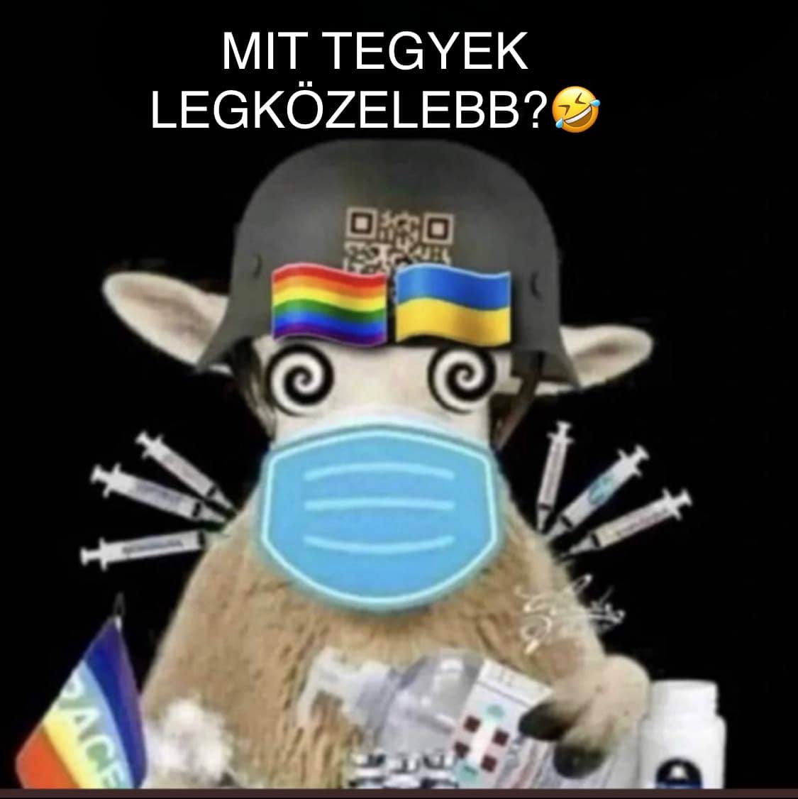 Rysiek40404818's tweet photo. What do you want me to do next?
#libsik #libtards https://t.co/bYxerFYKqJ