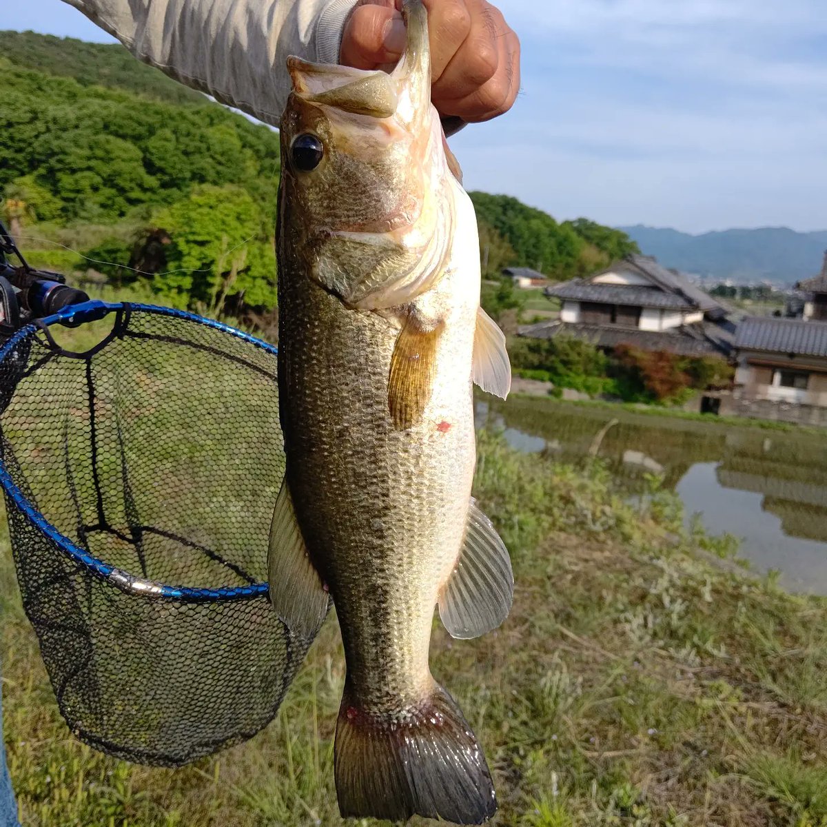 mi19852005's tweet photo. 香川初日
師匠は40up3本
私はチビだけ😆 https://t.co/0aESsnittC