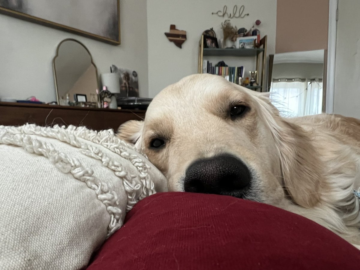 alyjnewt's tweet image. POV it’s 6:30 am and you slightly open your eyes so this keeps inching closer to you