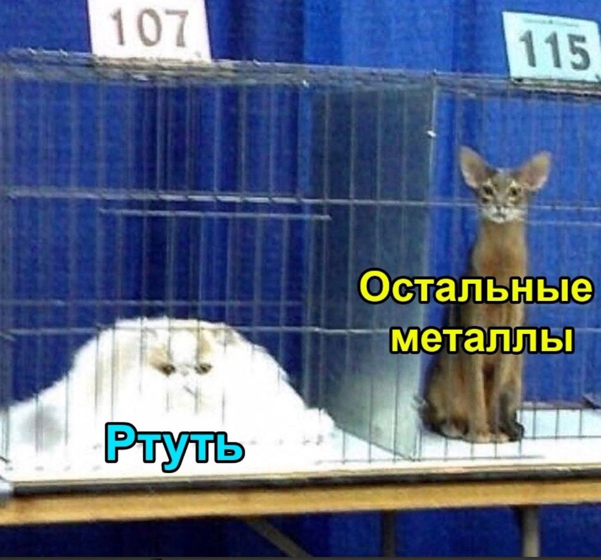 mercury

other metals
