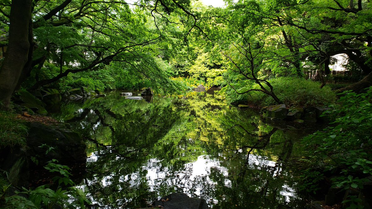 色を学ぶのは

自然に行くのが一番です。

樹の幹や葉を見るのは実に楽しいものです。今日はヤツデに見いってましたね。