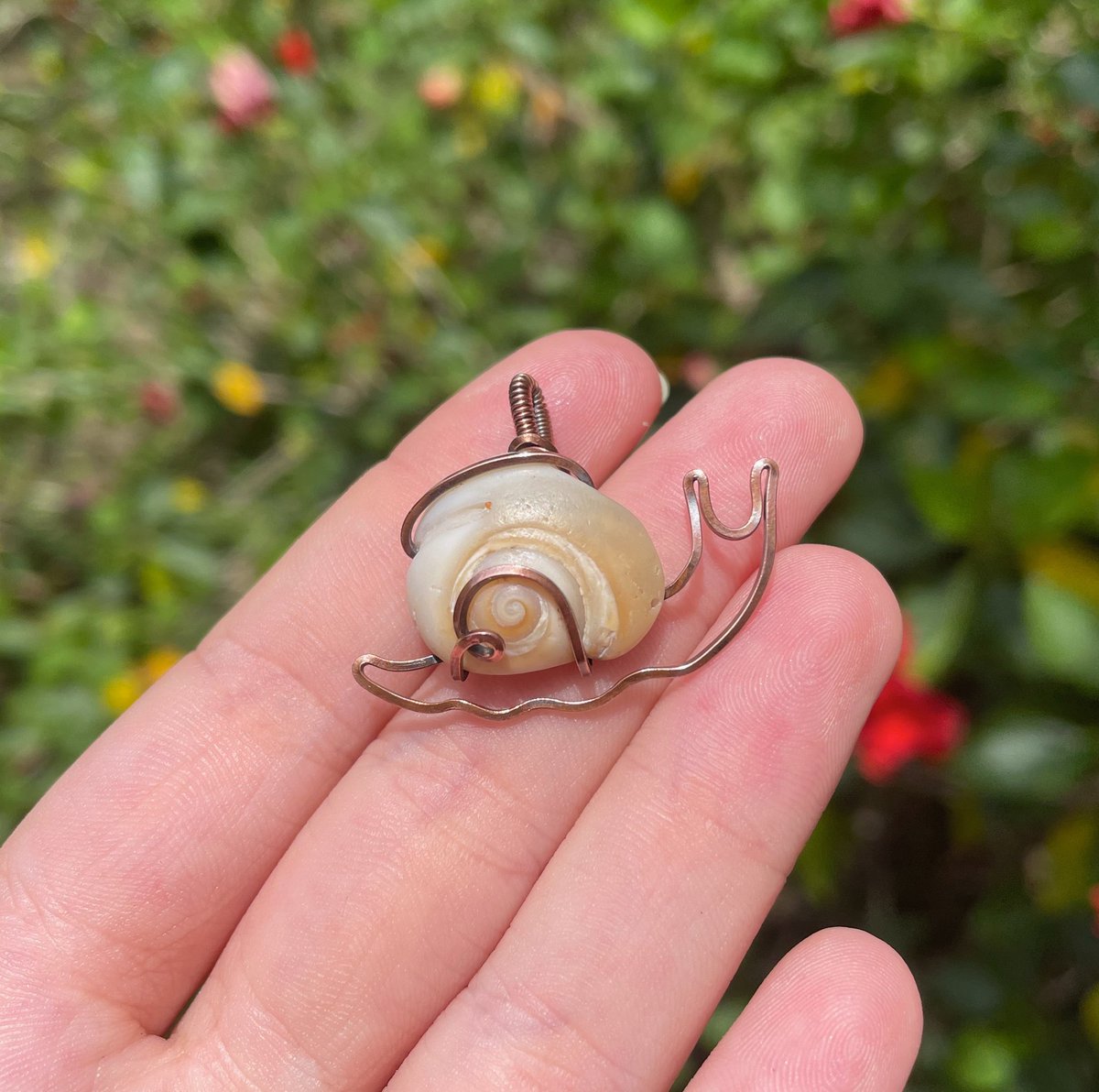magickalmisty's tweet photo. i would love to find this cutie a home today 🐌🪸🐚 https://t.co/tQbHqTEPjH
