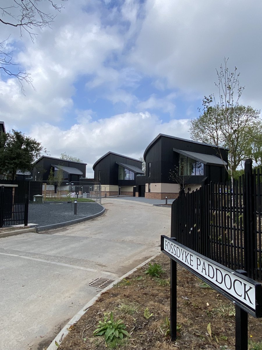 Chiselwood tweet media