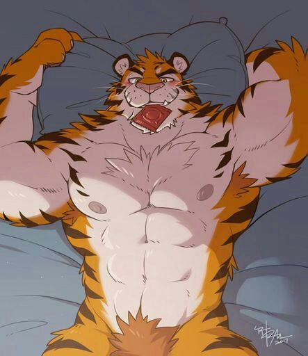 TigerDextor's tweet photo. POV: You are about to ride Dex after a fun night out. https://t.co/tbhFc6DrHs