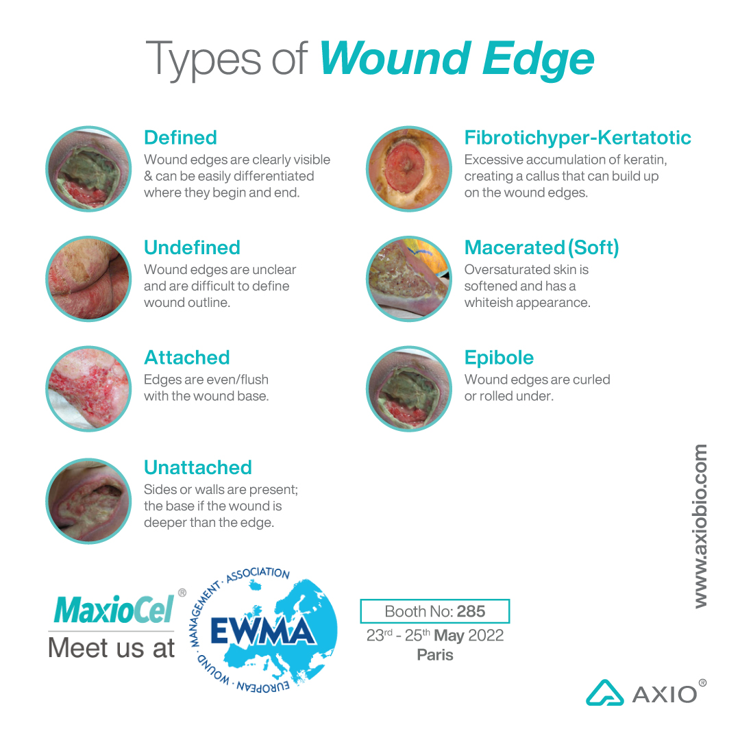 #FreedomFromWounds tweet media