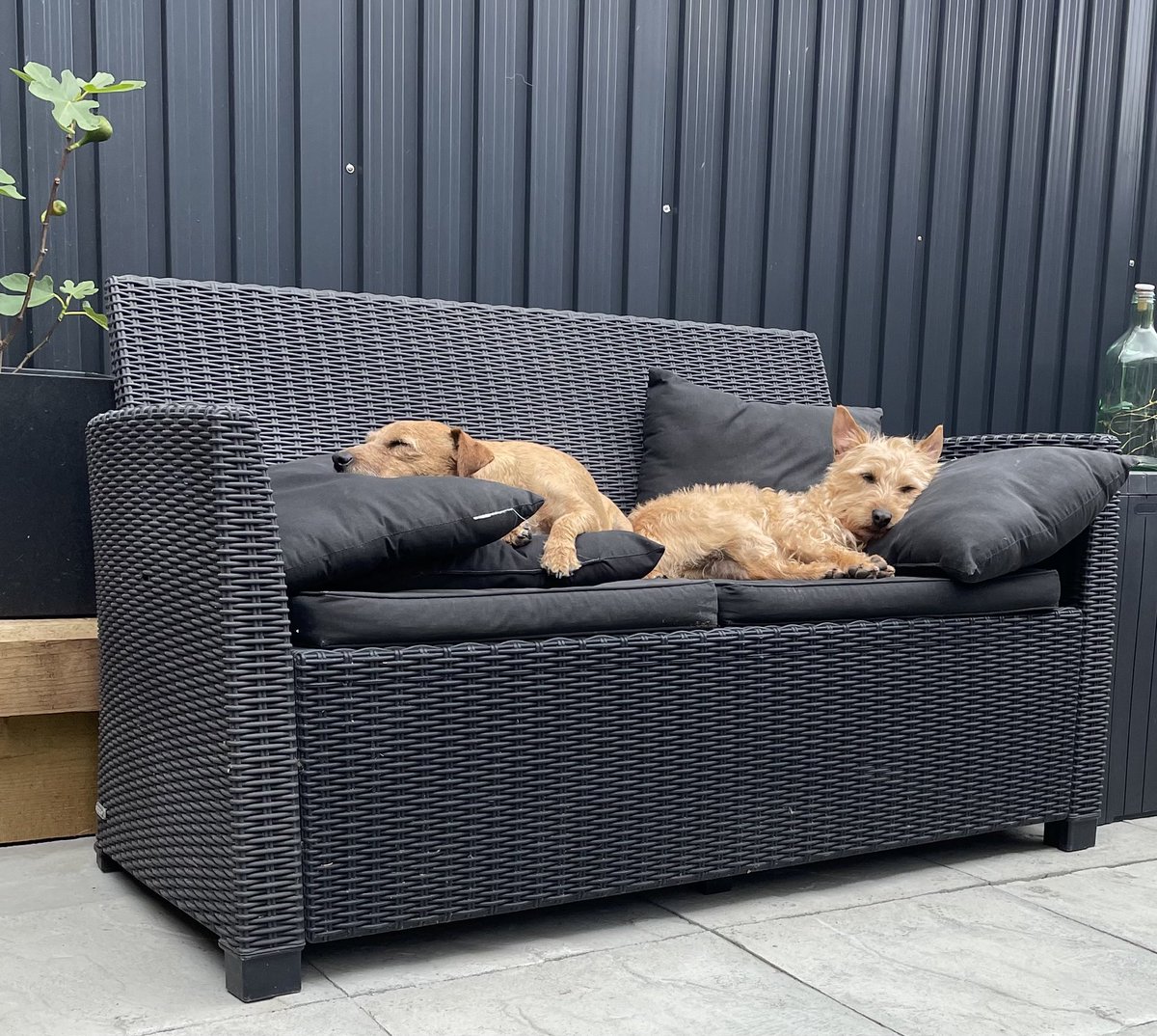 Any chance of sitting on the sofa? I don’t think so..!