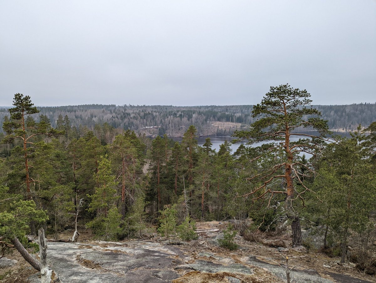 OALCPrincipal's tweet photo. Finns love nature, so we spent a lovely Sat at Nuuksio National Park and Haltia Nature Center. We explored the learning center, took a hike to an amazing view (learning about the history and landscape along the way), and learned how to make tikkupulla over a fire! @FulbrightFIN https://t.co/jPcfu8JlVv