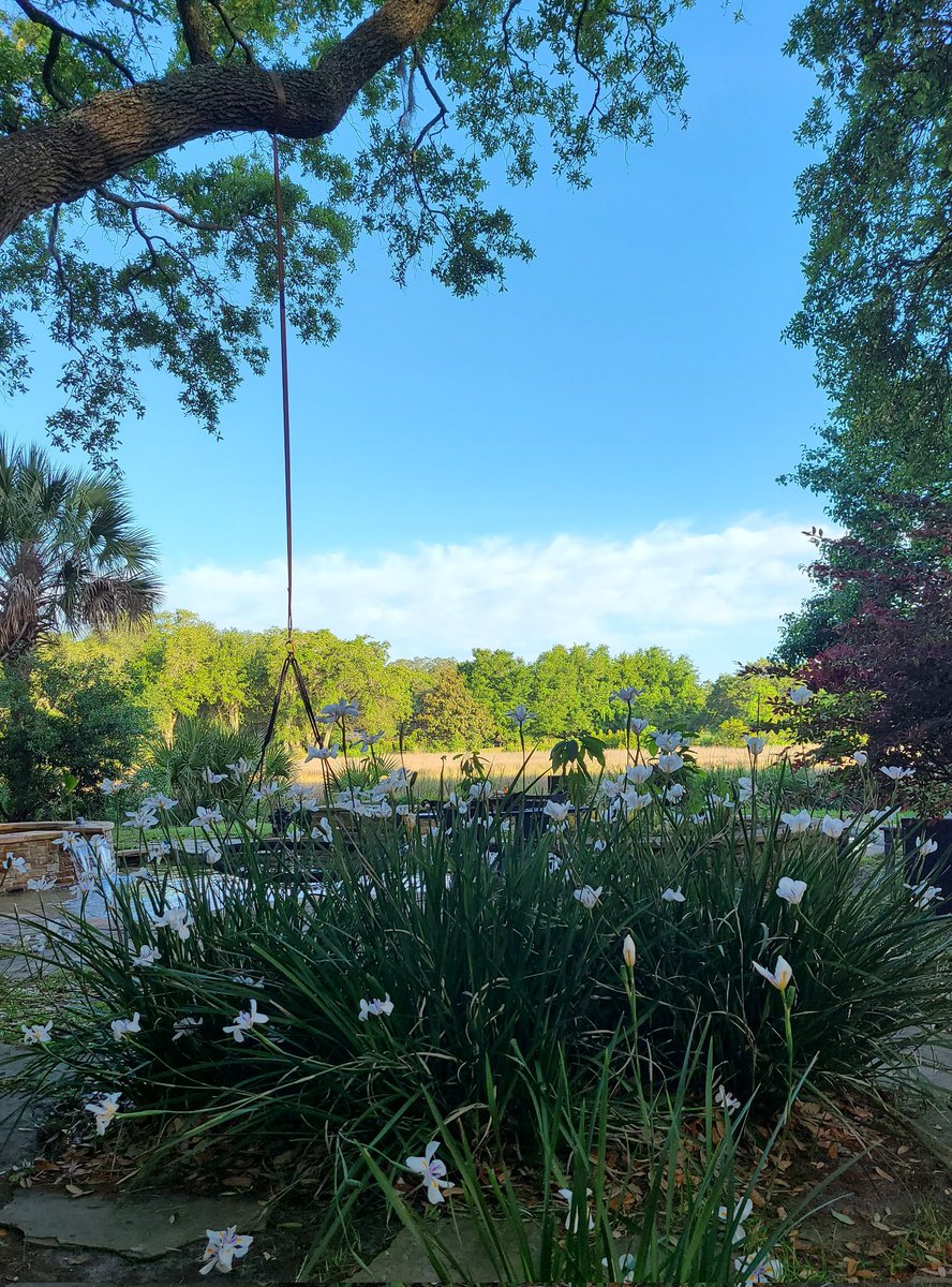 1cheflee's tweet photo. What an awesome awesome #lowcountry morning! #hiltonhead https://t.co/eP0EYxTBeY