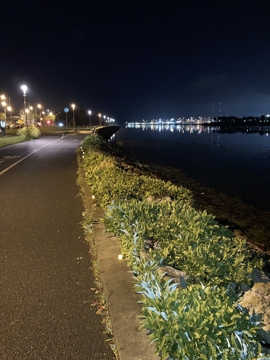 MariaCanEmb's tweet image. Well done to everyone who took part in #DarknessIntoLight2022 this morning. It was lovely to walk in Clontarf in support of @PietaHouse. Fantastic organisation carrying out wonderful work and uplifting spirit among those who participated.