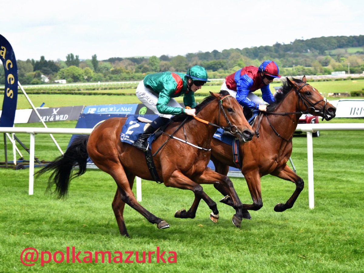 polkamazurka's tweet photo. At @NaasRacecourse
3R Irish Stallion Farms EBF Race
Winnerπ Shartash & @BenCoen2 @JohnnyMurtagh https://t.co/Uj3iO76AVn