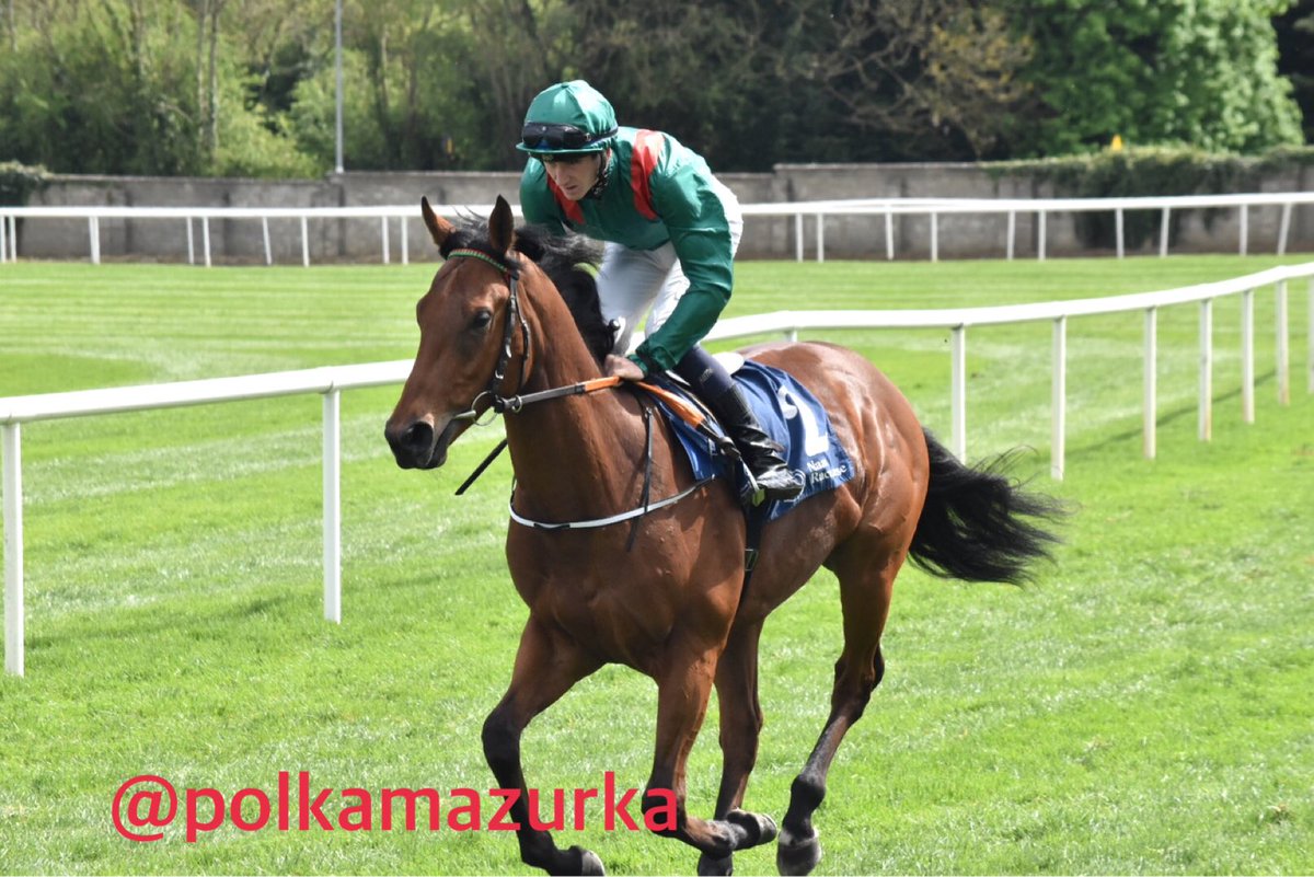 polkamazurka's tweet photo. At @NaasRacecourse
3R Irish Stallion Farms EBF Race
Winnerπ Shartash & @BenCoen2 @JohnnyMurtagh https://t.co/Uj3iO76AVn