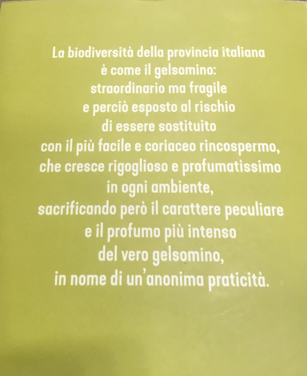 GiuseppeGuerin1's tweet photo. Ho appena finito di leggere questo libro di #PaoloManfredi. Bello e interessante e che consiglio a che si appassiona per: #SviluppoLocale #Innovazione #Artigianato #lPMI #MadeInItaly #Economia #Prossimità #DigitalTransformation https://t.co/Oxs98FaHyA