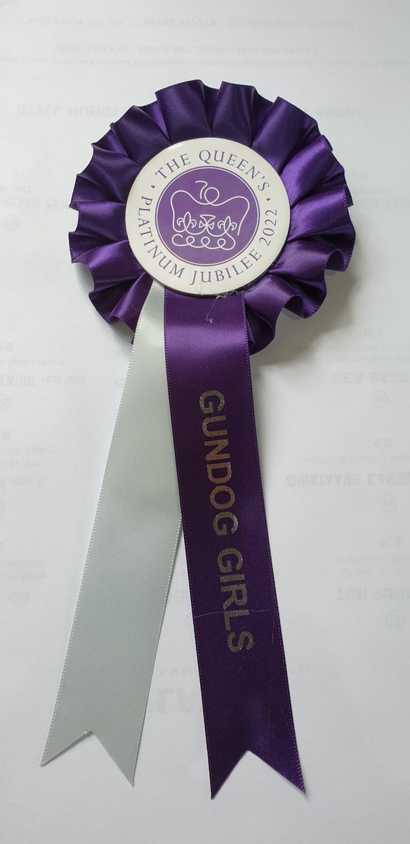 DaisyTurnip's tweet photo. We didn't get placed, but we got a bit of bling for turning up and it being the year of the Jubilee 🤦‍♀️🏅#GunDogTraining #WorkingTest https://t.co/k4mxHrvLcG