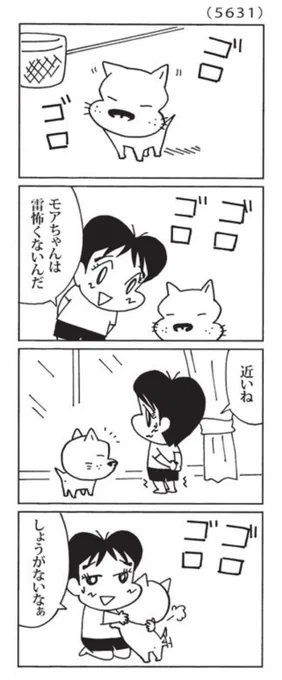 今日の「ウチの場合は」
優しいモアちゃん
#毎日新聞 