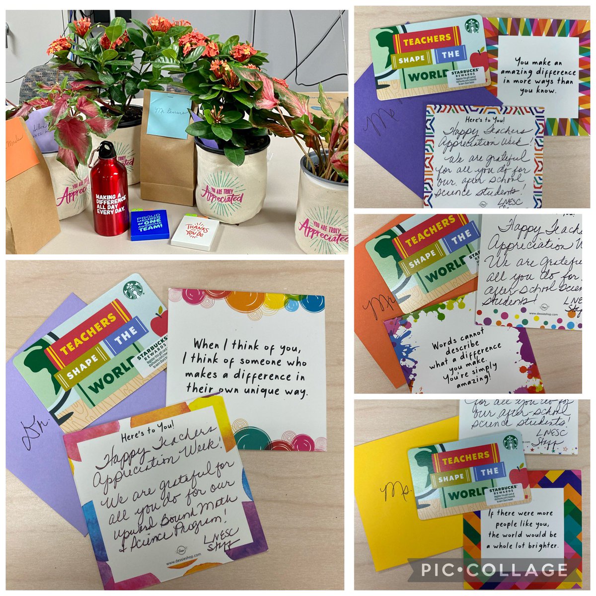 LnescHouston tweet media