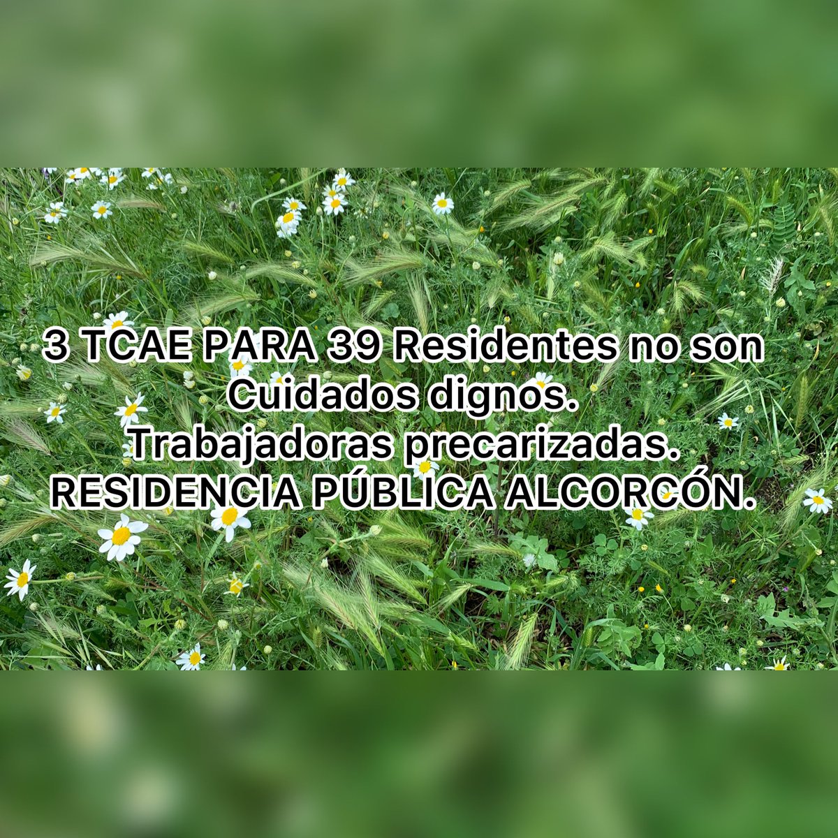 Estas son las ratios tan sobradas de las que hablaba el gerente del AMAS? <a href="/ComunidadMadrid/">Comunidad de Madrid</a> <a href="/ConchaDancausa/">Concha Dancausa</a> Este gobierno consiente este trato a residentes y trabajadoras