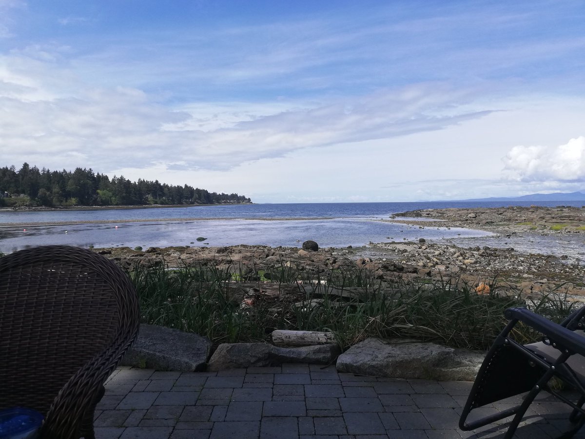 onebirdsong's tweet photo. View on Vancouver Island for few days. BH Eagle flew overhead+down for catch! Fantastic! Hopefully have camera ready next time 🙄 #lifetick https://t.co/JUDZUJJCbk