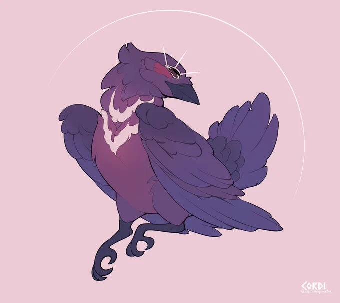 a birb 