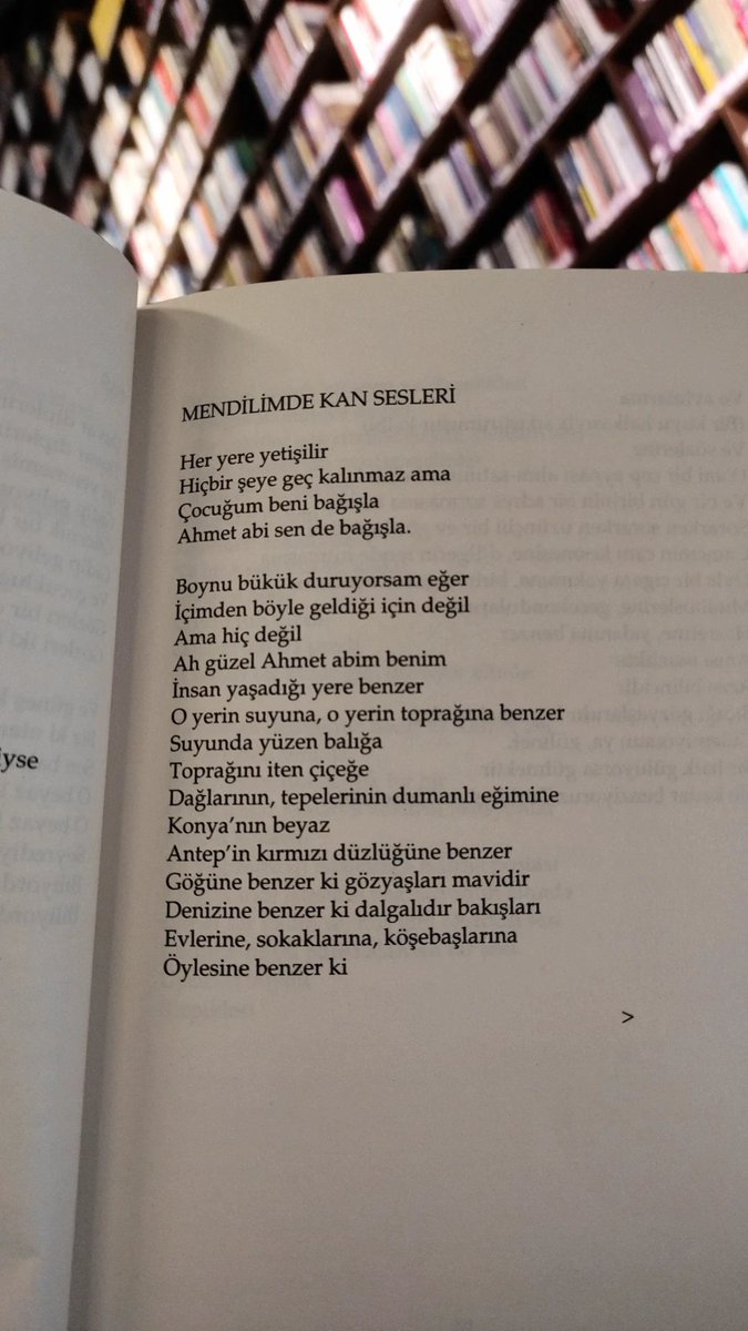 Emine Günenç tweet media