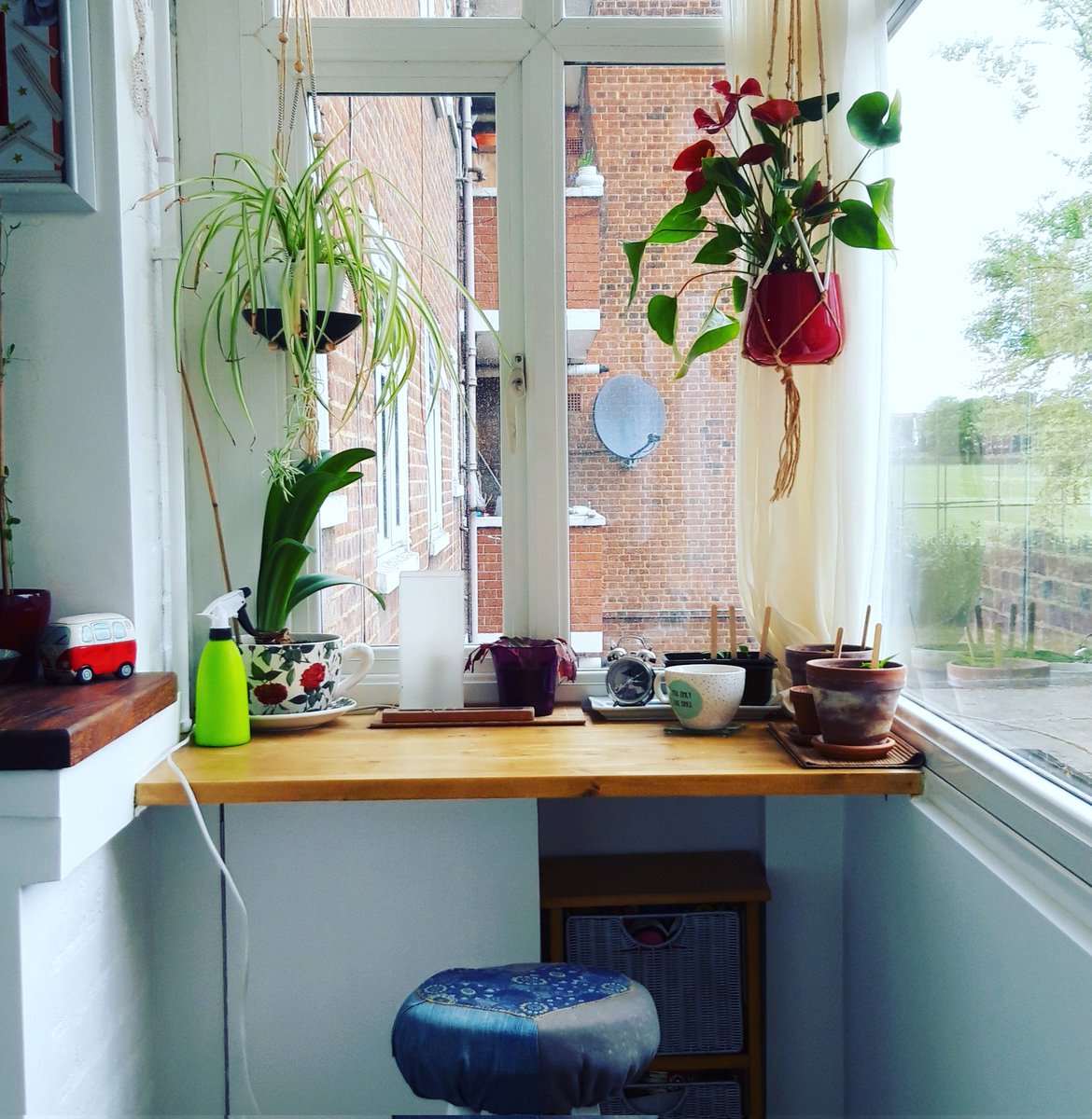 ShellyBerryUK's tweet photo. Finally got up my #macrame again - with the addition of #plants this time. Think our conservatory (aka converted balcony) might be my favourite place in our flat 😍 https://t.co/A3fNRdHyiV