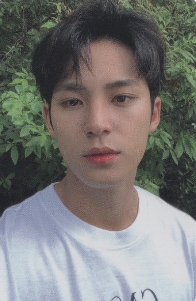 SEVENTEENscan's tweet photo. [SCAN] Mingyu DICON 101 PCS
#MINGYU #SEVENTEEN #DICONSVT #CARAT https://t.co/iE0d9xcu6h