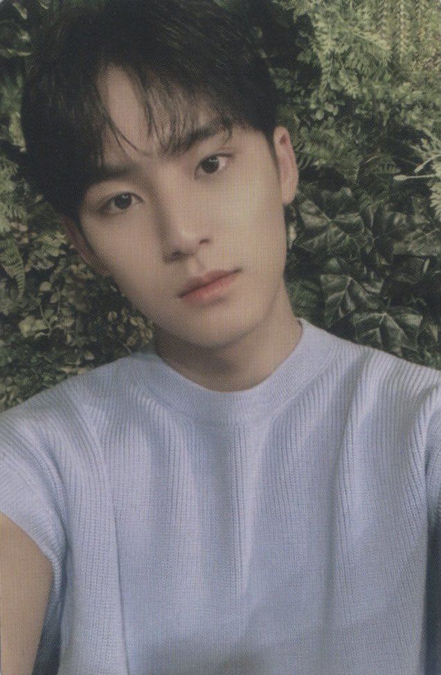 SEVENTEENscan's tweet photo. [SCAN] Mingyu DICON 101 PCS
#MINGYU #SEVENTEEN #DICONSVT #CARAT https://t.co/iE0d9xcu6h