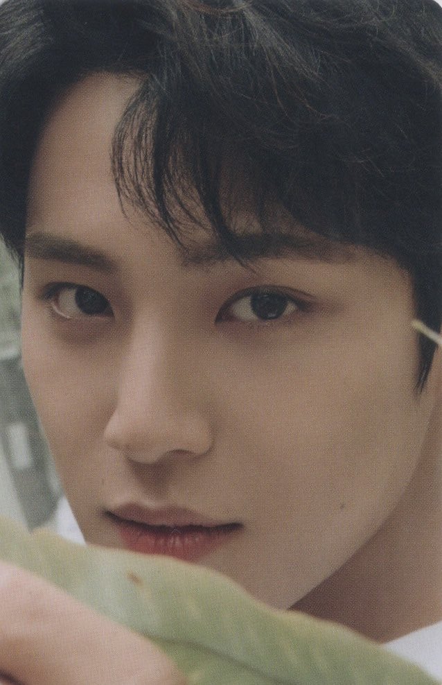 SEVENTEENscan's tweet photo. [SCAN] Mingyu DICON 101 PCS
#MINGYU #SEVENTEEN #DICONSVT #CARAT https://t.co/iE0d9xcu6h