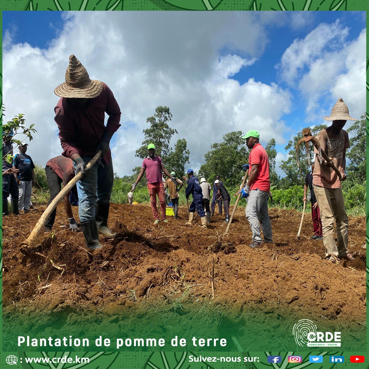 crdediboini's tweet photo. Toute l’équipe technique du @crdediboini s’est déployée ce matin pour planter les pommes de terre. Il s’agit d’une  légume qui offre des #récoltes toujours satisfaisantes.  @PNUD_Comores @gouvkm 

Très bon week-end à tous et à toutes.

#agriculture 
#food #terrestre #love #pommes https://t.co/V2Fq3Dv8tj