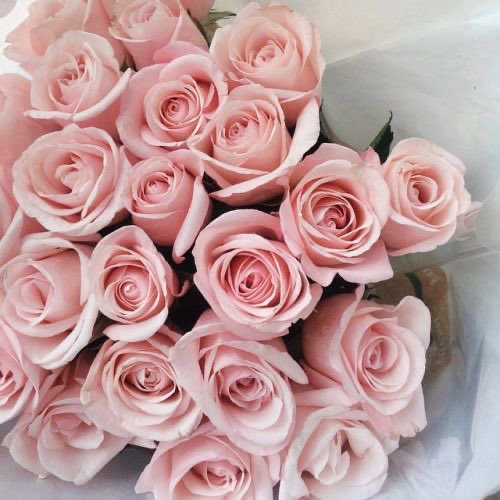 fromminty's tweet photo. remember that the cure in #witheringKH was made of love & roses.
at sabi nga ni lake & river 'para sa mga pilipino'. π
πΈBakit si Leni: https://t.co/NkEB2kpILQ
πΎBakit si Kiko: https://t.co/EufAqbNgOG
#LeniKiko2022
#KulayRosasAngBukas
#R1saPa
#ChelDioknoSaSenado
#WeWantNeri https://t.co/l99XEZVxE2