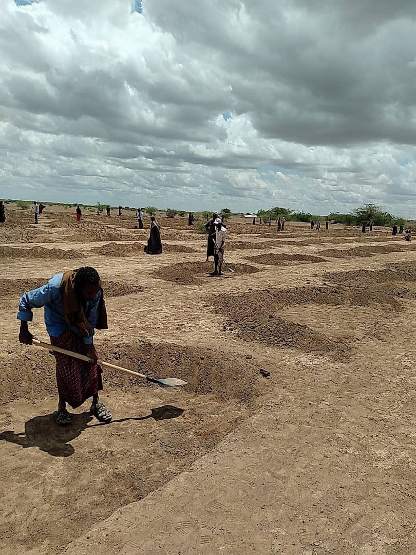 WFP_Ethiopia tweet picture