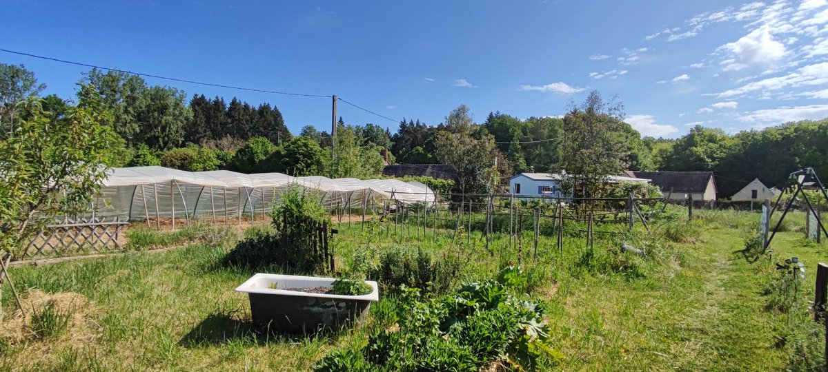 microferme's tweet photo. Un petit tour du jardin sous ce magnifique soleil ❤️❤️❤️
Bon weekend à vous les ami(e)s
#Permaculture #weekend #microferme https://t.co/hXzhTqqF2L