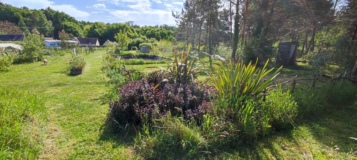 microferme's tweet photo. Un petit tour du jardin sous ce magnifique soleil ❤️❤️❤️
Bon weekend à vous les ami(e)s
#Permaculture #weekend #microferme https://t.co/hXzhTqqF2L
