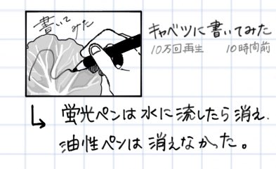 宿題に頑張って描いたキャベツ見て‼️ 