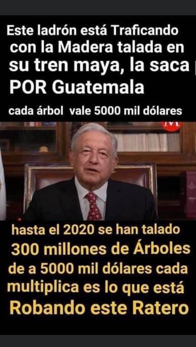 Mamaguzo's tweet photo. Tengo la sospecha que @lopezobrador_ , fue a ver sus negocios madereros al Sur, este infame no da paso sin huarache, #VerguenzaNacional https://t.co/wayb1X1SNb