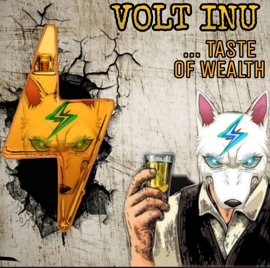 <a href="/VoltInuOfficial/">Volt Inu ⚡️</a> In #VOLTOSHI we #trust