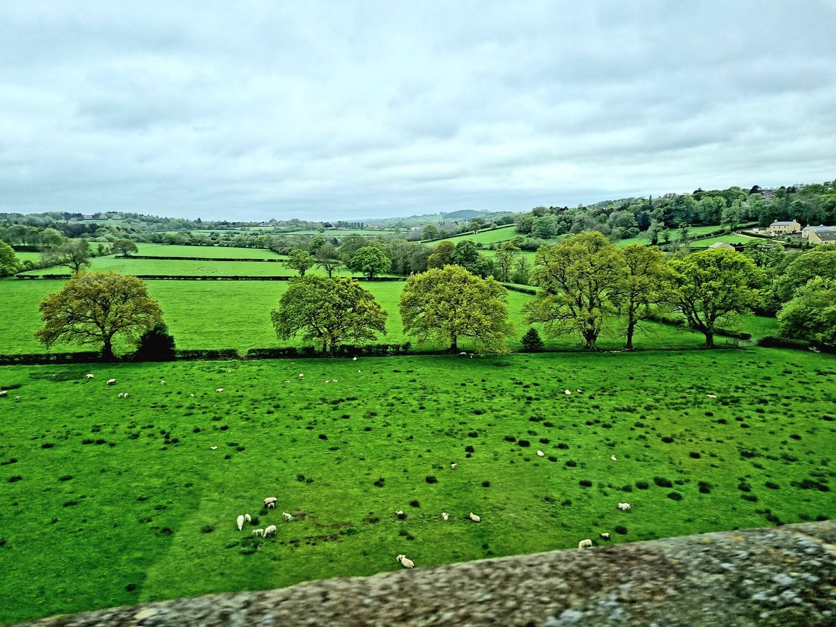 #Dales National Park in Yorkshire. For #nature lovers a most superb and sublime experience. #Harrogate #TheDales #upland