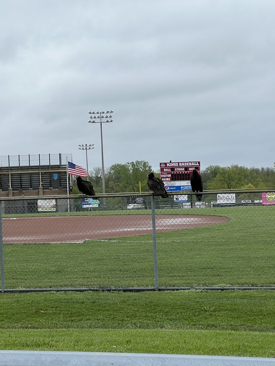 saracheeseman86's tweet photo. @kingshardball I’m not sure if this is good luck or bad luck? But still a beautiful site and ready for game day! #GoKnights https://t.co/T4iyl7lzYj