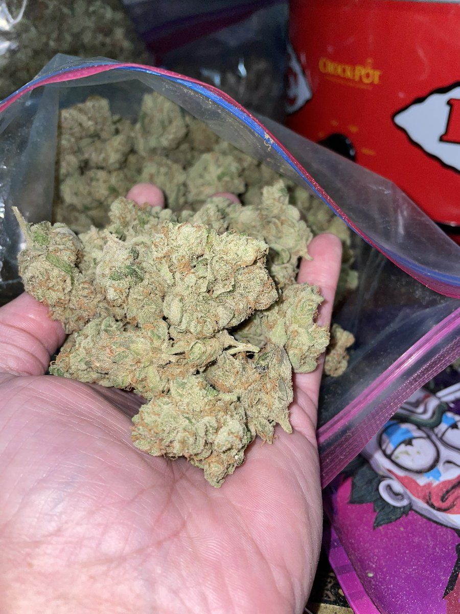 chief420247's tweet photo. Smoke it if you got it!!! The #superlemonhaze always turns out stupid 🔥🔥🔥 😚💨💨💨#yeshavesome #meds #weed https://t.co/MuLXlaW07z