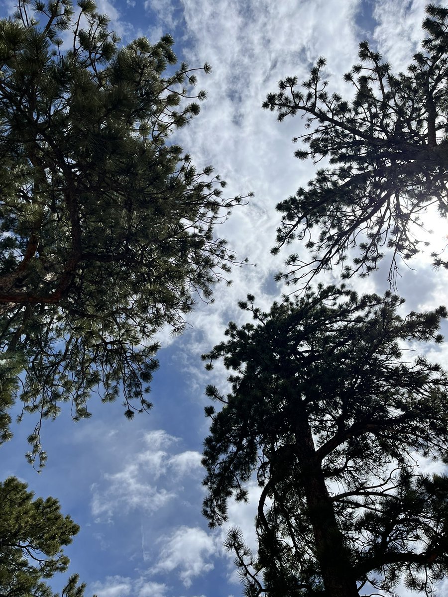 Puffin on zooties - Rocky Mtn. National Park 🏞📍