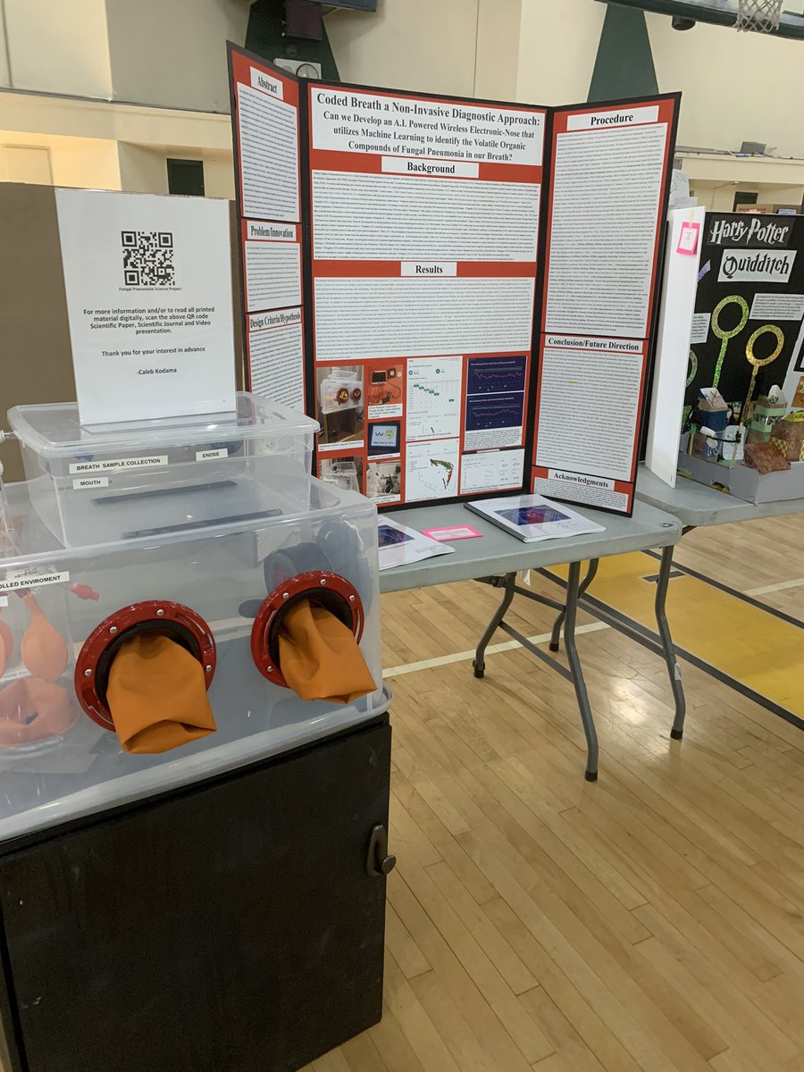 Dr. Jodi Marchesso tweet media