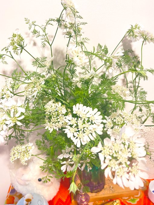 オルレアのtwitterイラスト検索結果