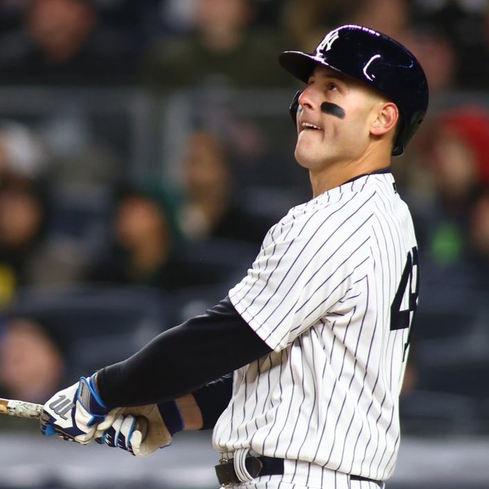 New York Porch Sports tweet media