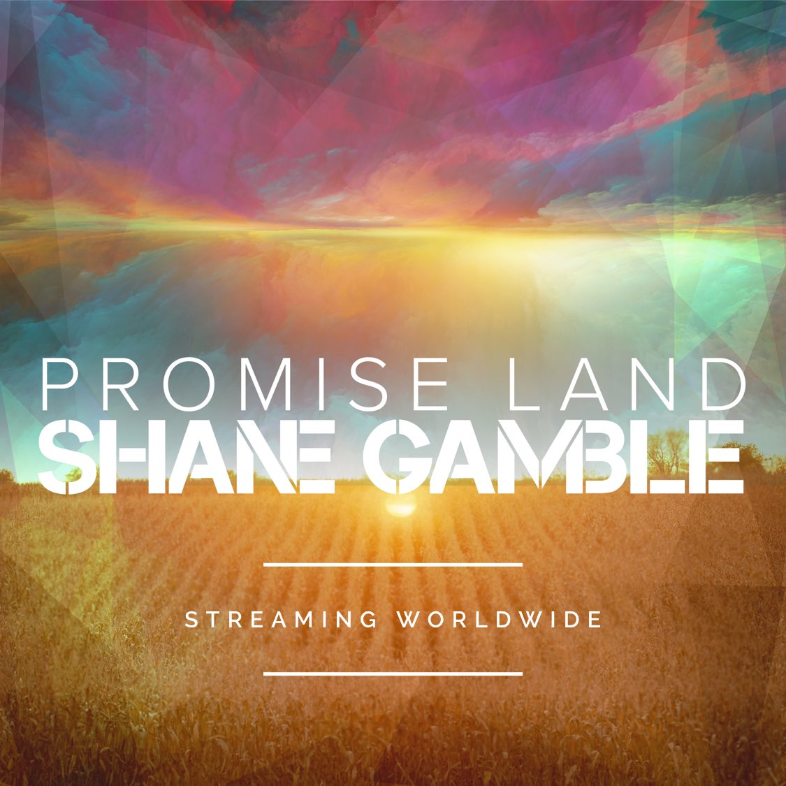 Shane Gamble tweet media