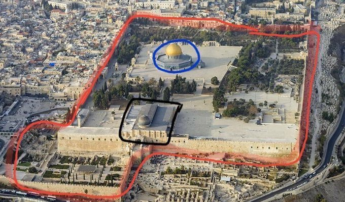 PalestineUrdu_'s tweet photo. اپنے بچوں کو ذرا یہ اچھی طرح سمجھا دو:
=
🔸سرخ دائرے میں آنے والا یہ پورا احاطہ #مسجداقصى ہے (کنفیوز کرنے والوں کو بار بار بتائیے!)
🔸سیاہ رنگ کے دائرہ میں: #مسجد_اقصى کا وہ پیشینی حصہ جسے #مسجدقِبلی کہتے ہیں
🔸نیلے رنگ میں: مسجد اقصى کا وہ عقبی حصہ جسے #قبةالصخرۃ کہتے ہیں https://t.co/1YfCMVW2zV