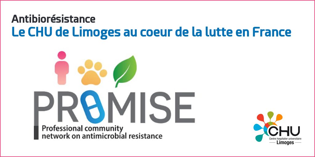 Pour faire face au challenge de l’𝗮𝗻𝘁𝗶𝗯𝗶𝗼𝗿𝗲́𝘀𝗶𝘀𝘁𝗮𝗻𝗰𝗲, le Pr Marie-Cécile Ploy et le Dr Bruno François ont lancé un ambitieux méta-réseau professionnel de lutte contre l’antibiorésistance, baptisé PROMISE...
La suite : chu-limoges.fr/chorus/40/8/