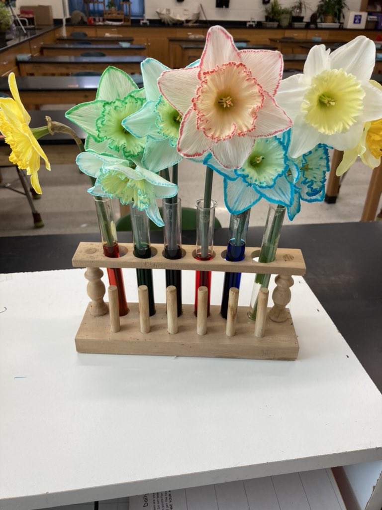 Where does the water go?