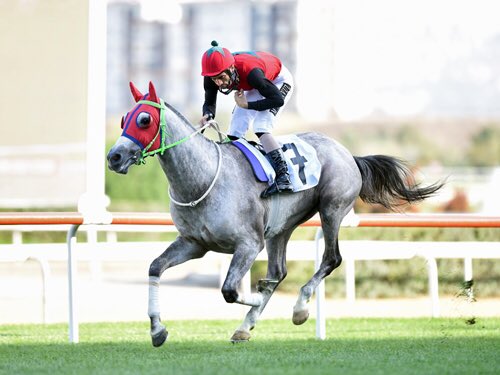Trk_Tkc's tweet photo. ⭐️ SERTBERK by Berksoy
🏇 8 koşu
🥇 8 birincilik
Rekor kırmaya gidiyor,yolu açık olsun.Bütün ilgilileri fazlasıyla övgüyü hak ediyor https://t.co/b23dIlrxjY