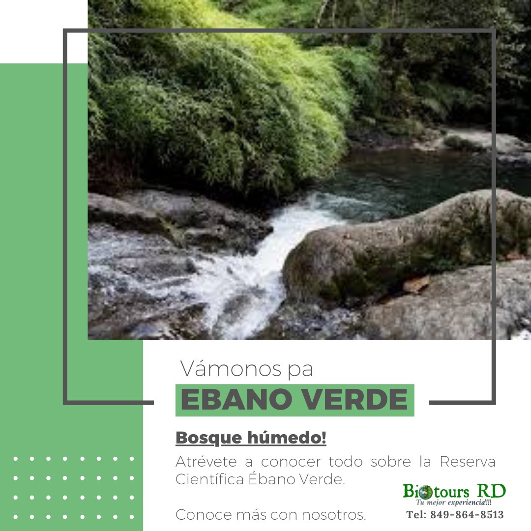 biotoursrd's tweet photo. Te invitamos a conocer la Reserva Científica Ébano Verde. 

Esta es una área protegida con gran cantidad de árboles de Ébano verde. Ven con nosotros y conoce más de este hermoso bosque húmedo. 

Contactos: 
849-864-8513
Biotours53@gmail.com

#Biotoursrd
#EscapateAConstanza https://t.co/TP5F1i9BOE