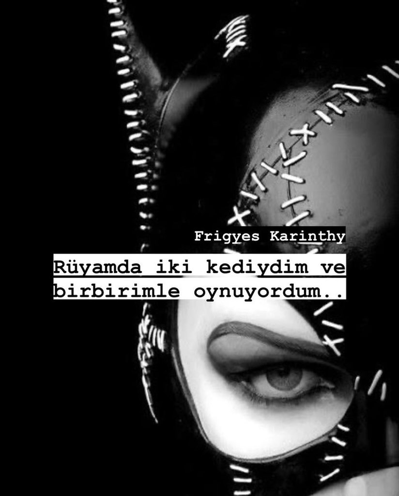 RingoOrtizes's tweet photo. Rüyamda iki kediydim ve birbirimle oynuyordum.. #frigyeskarinthy #5thdimension #redpill #aquarius https://t.co/RpiE6zgH7l
